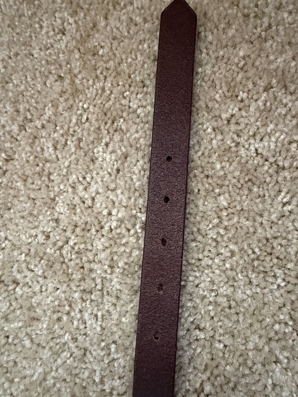 Vintage Coach Dark Brown Women’s Leather Belt Silver Brass Buckle Dust Bag - Picture 11 of 11